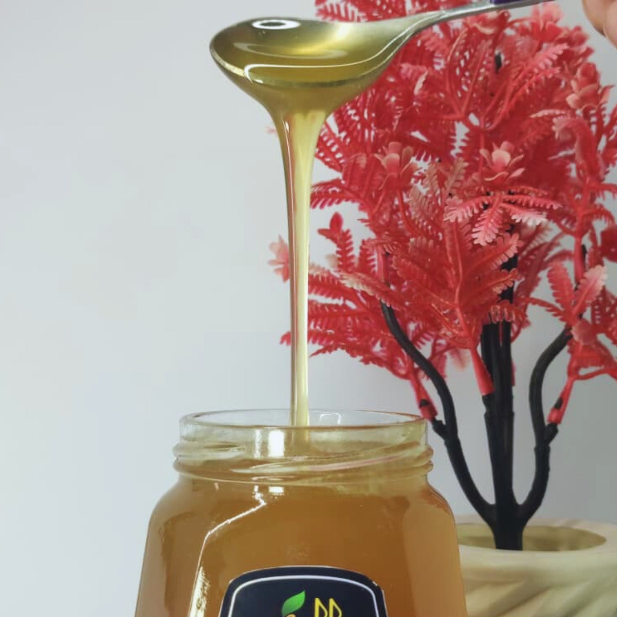 Almeer Organic 100% Pure & Raw Honey – From Hives to Home